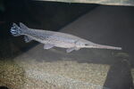 DSC_6893.JPG